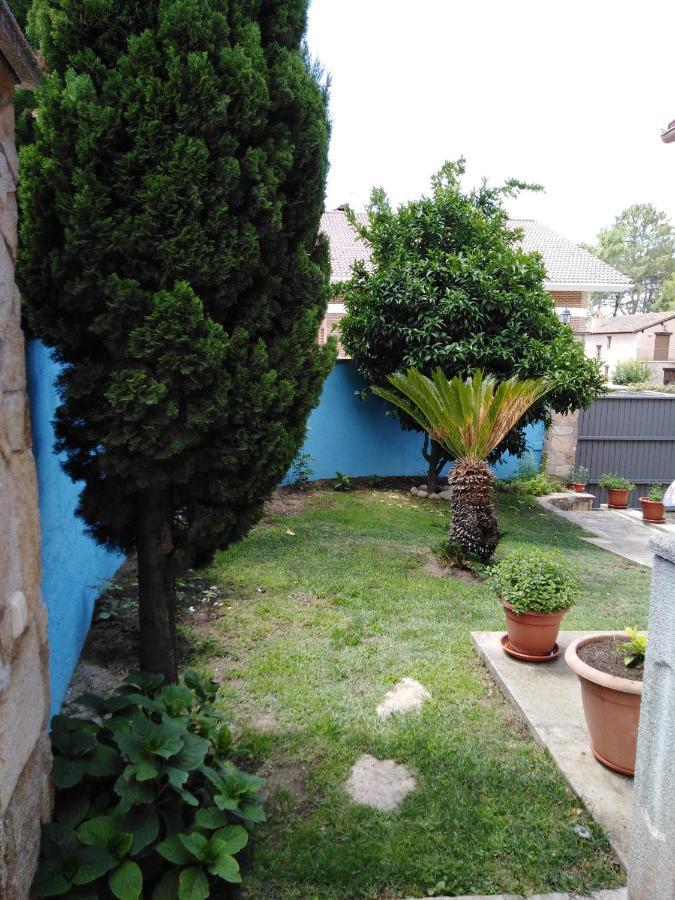 Villa Las Palmeras 阿雷纳斯德圣佩德罗 外观 照片